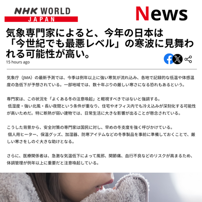 【本日終了！NO.1位 獲得】Hinode Warm Capsule™もこもこカプセルヒーター